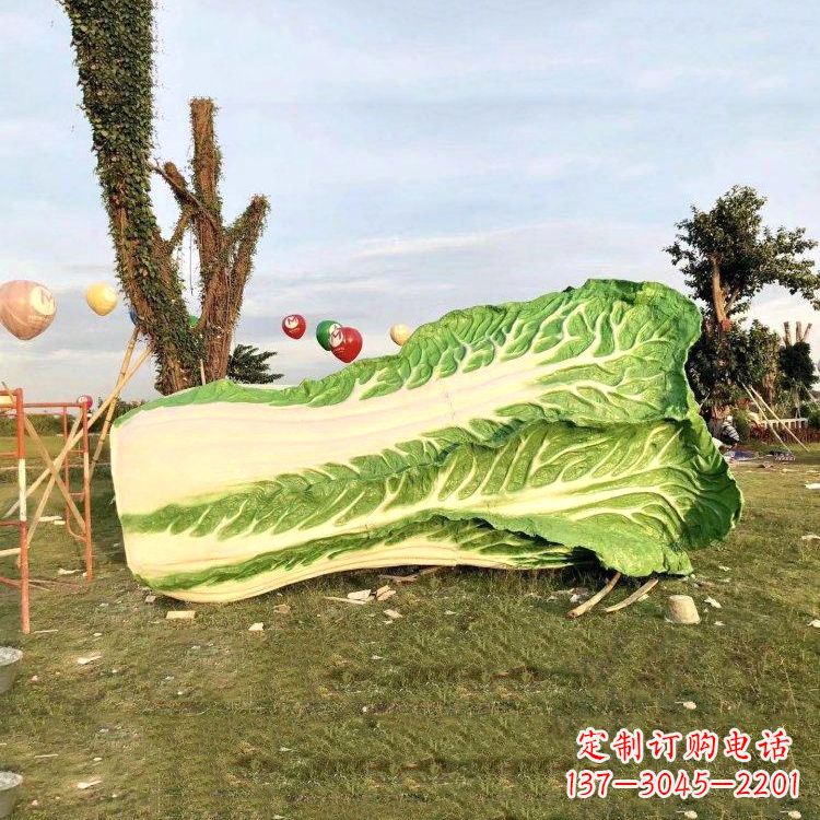 大同新鲜白菜“精致生活”系列