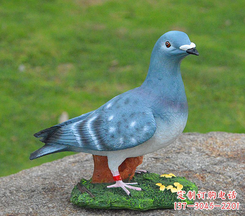 大同和平鸽传承着永恒的爱