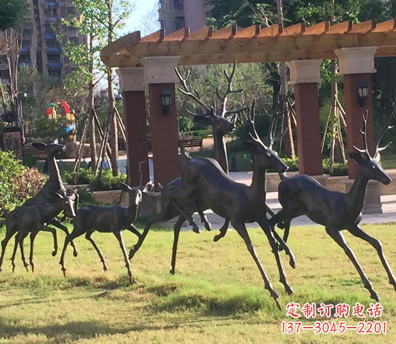 大同“梅花鹿传递自由与美好”