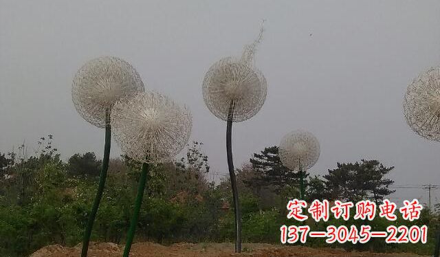 大同蒲公英的绚丽多彩