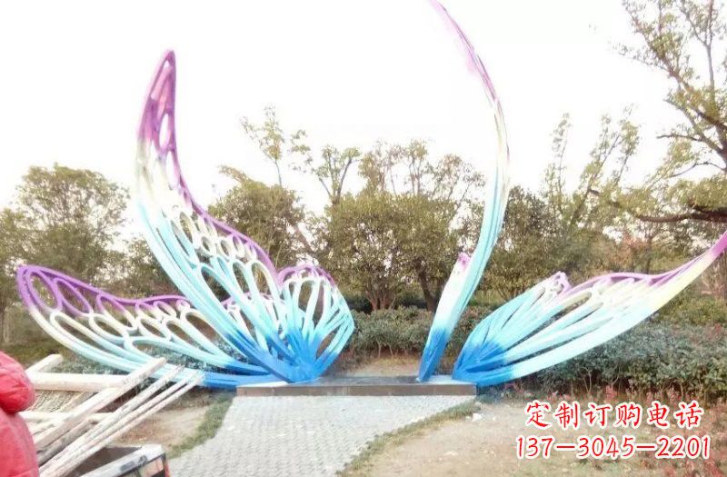 大同彩色不锈钢蝴蝶