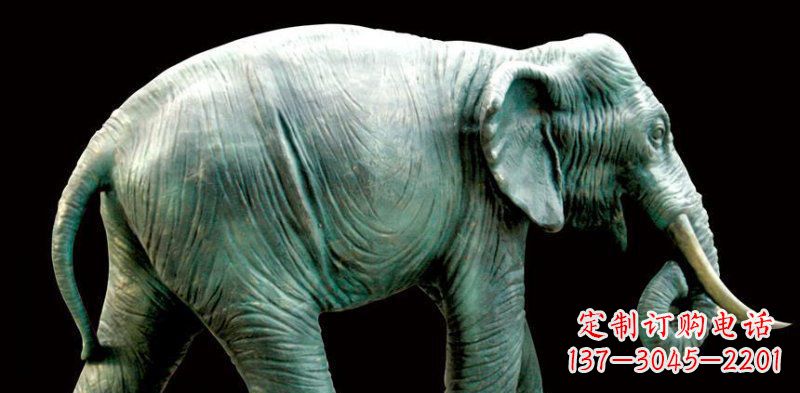 大同铜雕大象——艺术精灵的完美融合