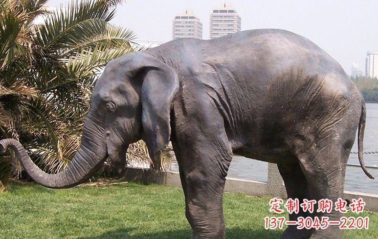 大同高品质铜质大象雕塑