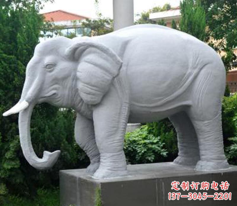 大同公园动物大理石大象石雕 (5)