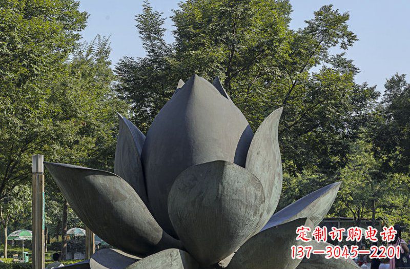 大同公园莲花景观铜雕