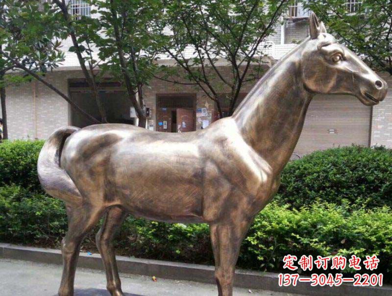 大同公园马动物铜雕 (3)