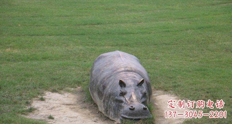 大同铜雕河马雕塑
