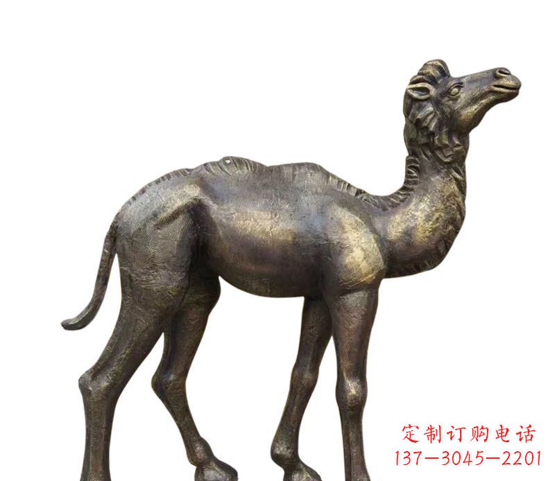 大同奇美洁净的骆驼铜雕