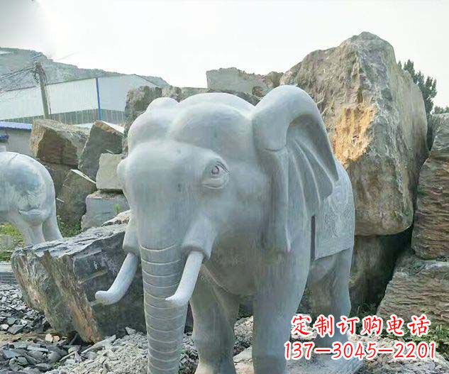 大同广场景观大理石大象石雕 (2)
