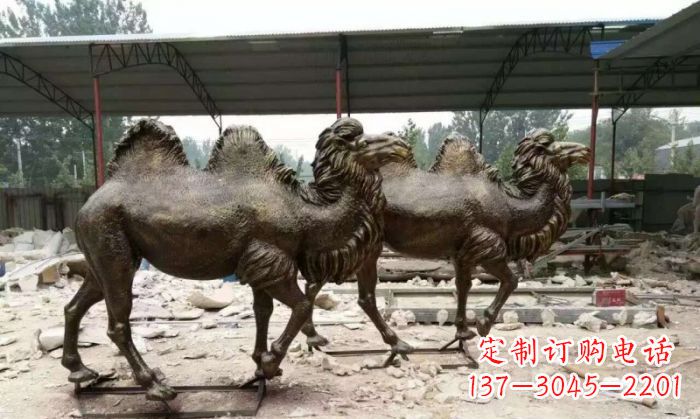 大同典雅优美的骆驼铜雕