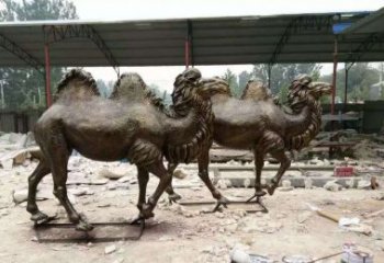 大同欣赏大自然的艺术之作——骆驼铜雕