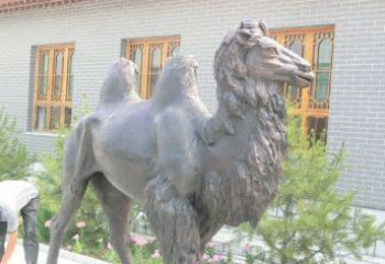 大同精美的骆驼铜雕，提升您的公园气质