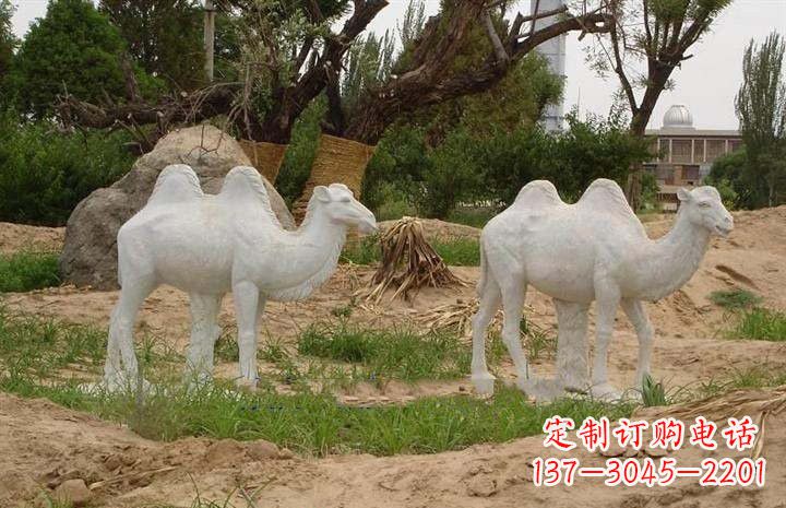大同欣赏大自然,石雕骆驼公园动物雕塑邀请您