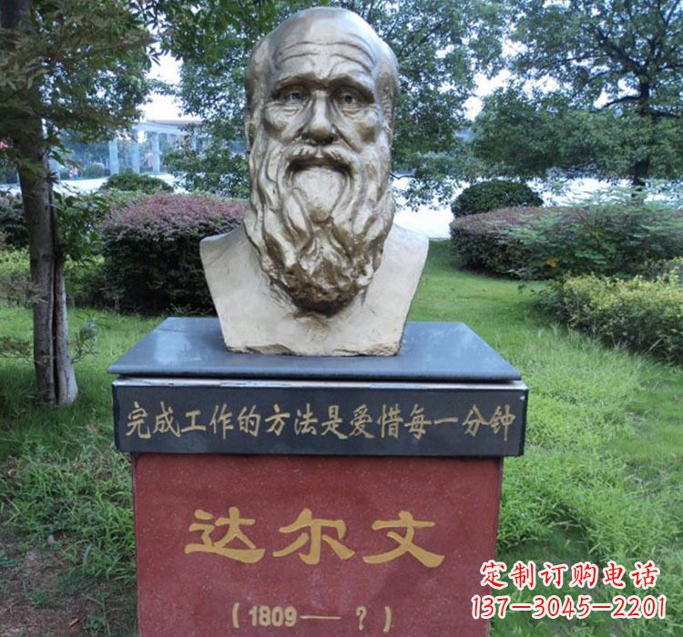 大同铜雕达尔文头像雕塑
