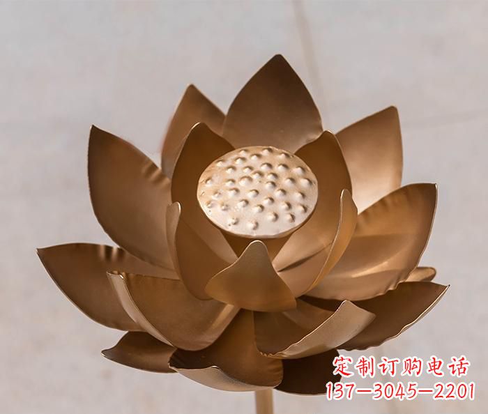 大同铜雕景观荷花
