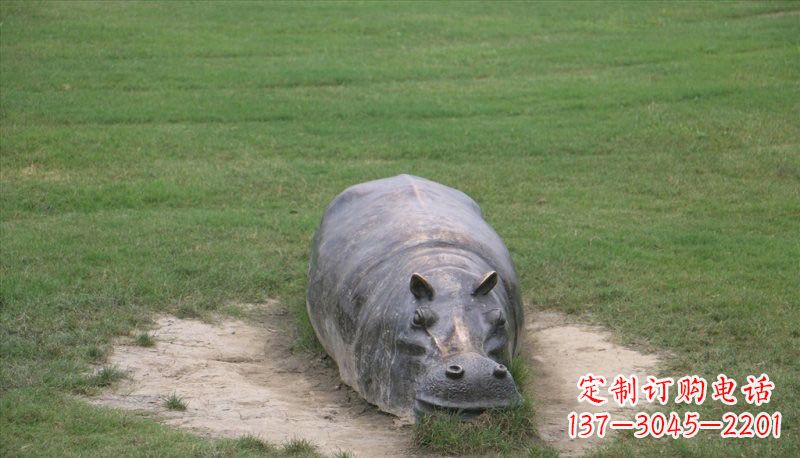 大同铜雕趴着的河马