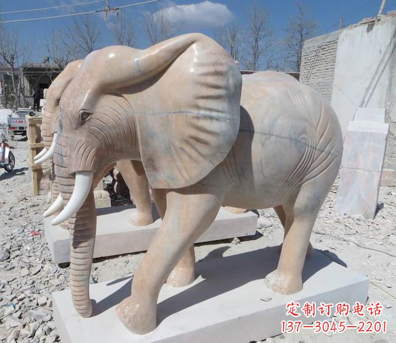 大同晚霞红卷鼻大象