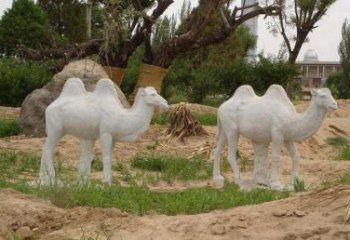 大同欣赏大自然，石雕骆驼公园动物雕塑邀请您