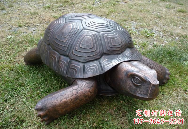 大同乌龟铜雕222