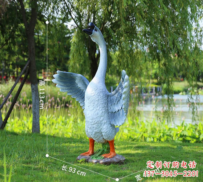 大同站立的灰色展翅天鹅